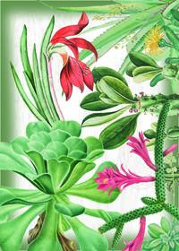 SIENNA 2-PIECE TEA TOWEL SET 50X70 Tellini S.r.l. Wholesale Clothing